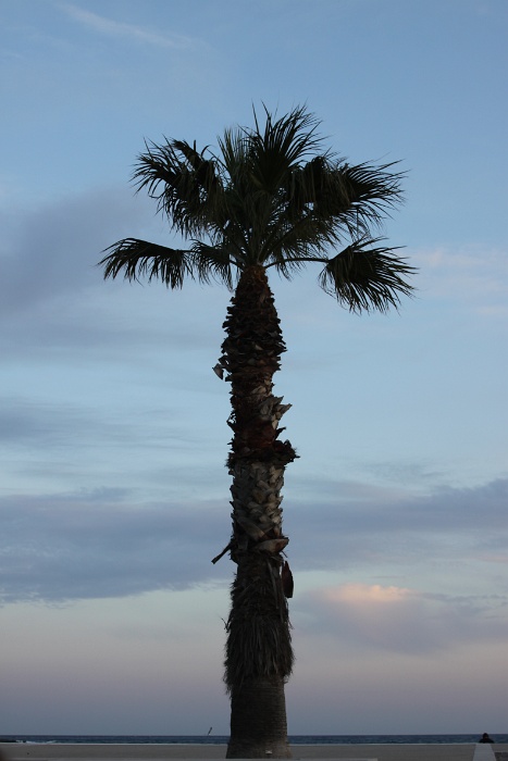 Cassis - La plage - 001